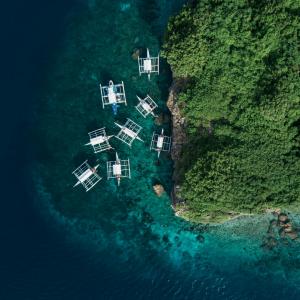 Inselhopping auf den Visayas