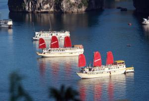 Golden Cruise 99
