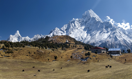 privatreise-nepal-intensiv-und-zu-fub-18-tage_42214