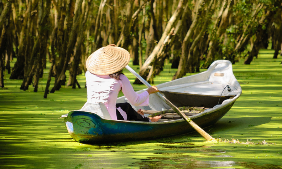 Der Tonle Sap: von Siem Reap nach Phnom Penh_33482