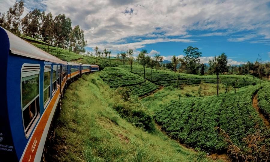 Private Sri Lanka Highlights mit Baden auf den Maldiven_37286