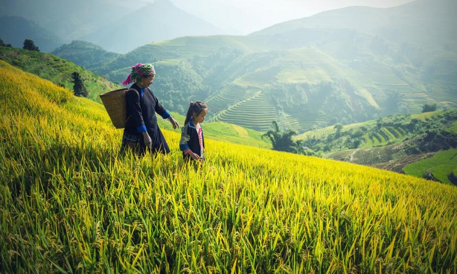 Sapa Tour_37815
