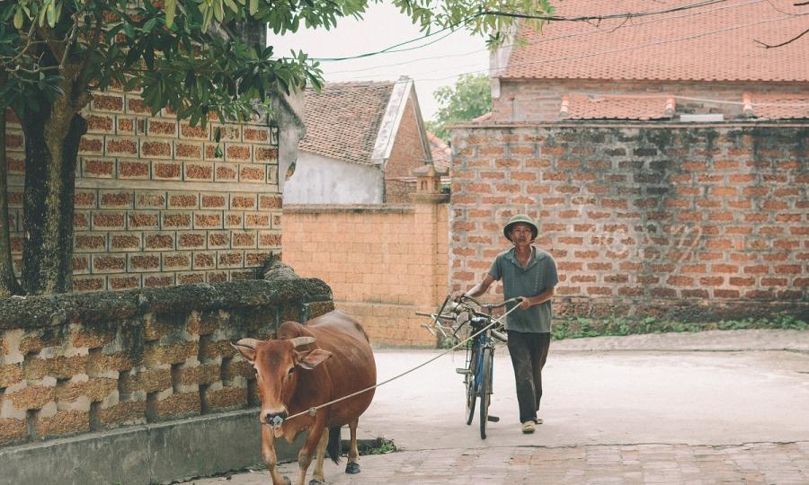 Homestay Vietnam_32200