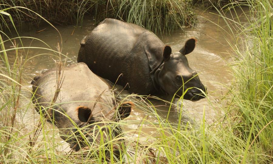 Abenteuerreise durch Nepal_29105