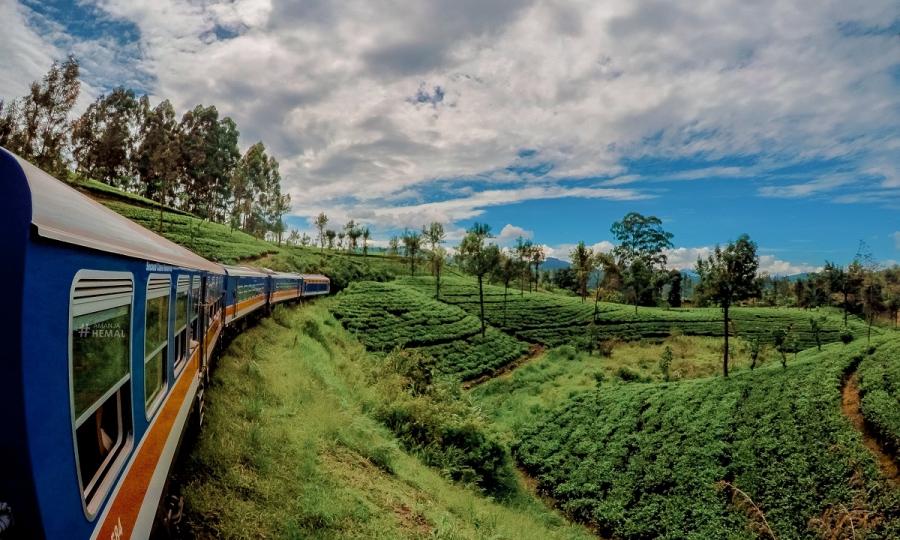 Faszination Sri Lanka mit Abstecher in den unbekannten Norden_30969