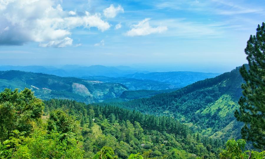 Sommerreise Sri Lanka mit Zugfahrt mit Badeurlaub an der Ostküste oder Malediven_38051