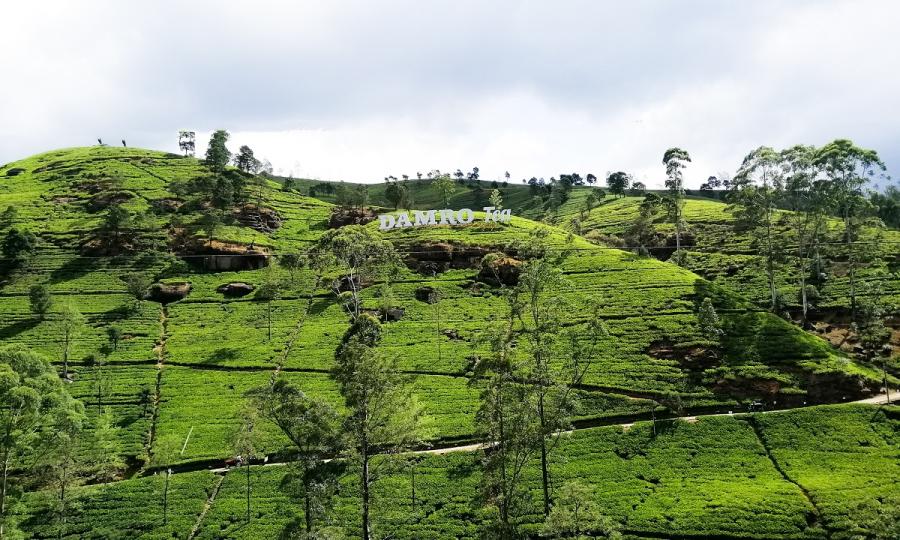 Sommerreise Sri Lanka mit Zugfahrt mit Badeurlaub an der Ostküste oder Malediven_38050