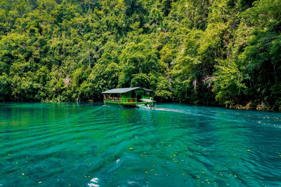Inselhopping nach Palawan und Bohol mit Stopover in Hongkong_72921