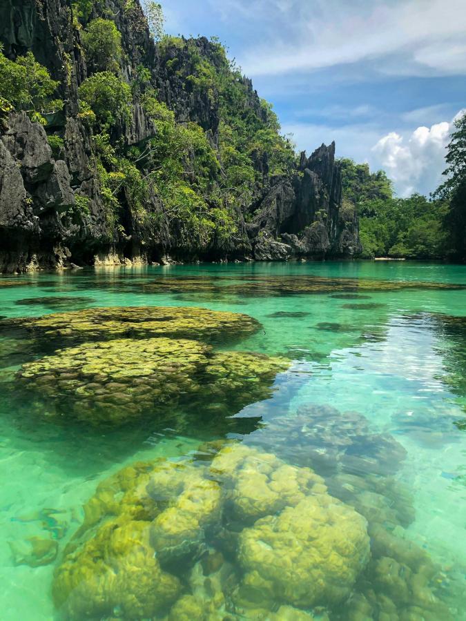 Inselhopping nach Palawan und Coron_73058