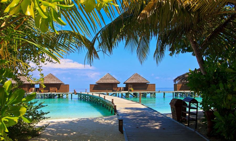 Klassische Sri Lanka Rundreise mit Strandurlaub an der Südwestküste oder auf den Malediven_28315