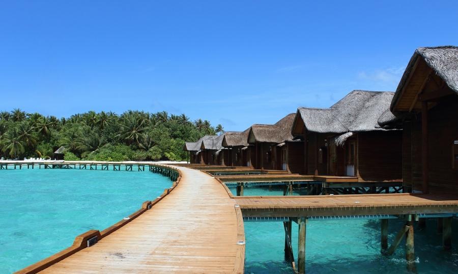Kulturelles Erbe und natürliche Schönheit Sri Lankas mit Baden auf den Malediven_37260