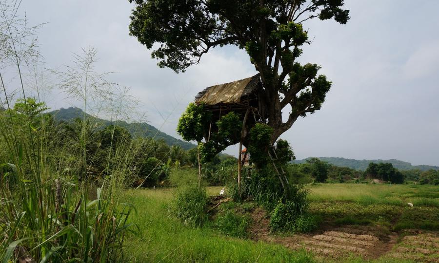 Kulturelles Erbe und natürliche Schönheit Sri Lankas mit Baden auf den Malediven_37265