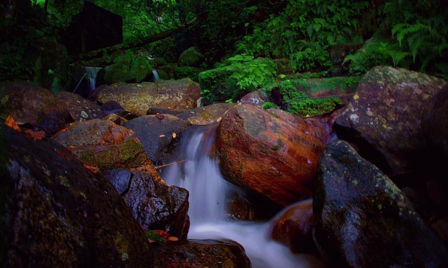 Kulturelles Erbe und natürliche Schönheit Sri Lankas mit Baden auf den Malediven_37268