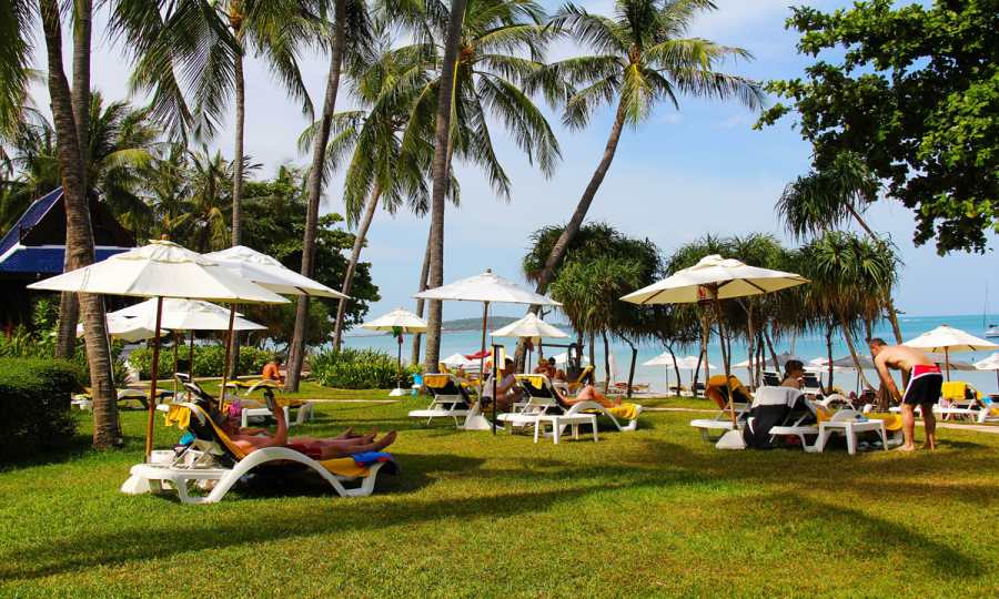 Koh Samui, Koh Phangan& Koh Tao_45998