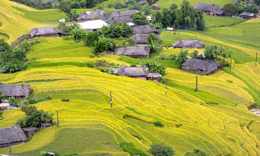 Sapa Tour_37824