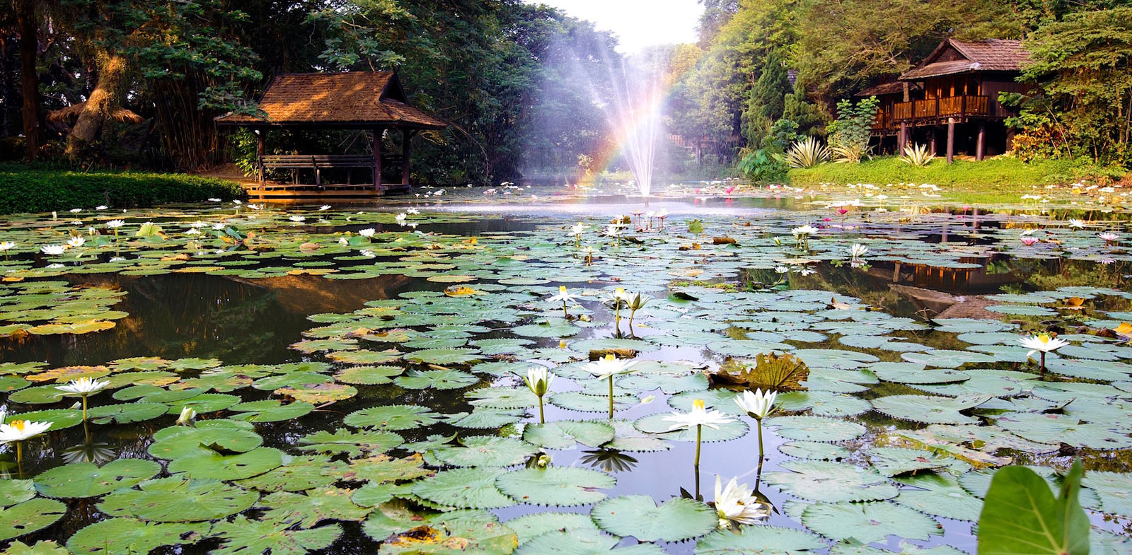 lampang-river-lodge