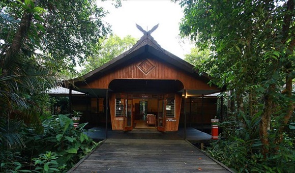 rimba-eco-lodge