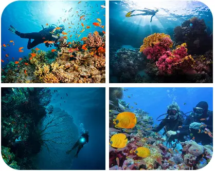 Naturreisen & Abenteuerreisen