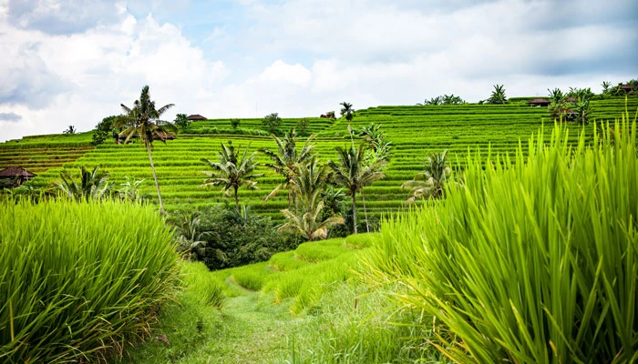 Personalisierte Asienreisen planen