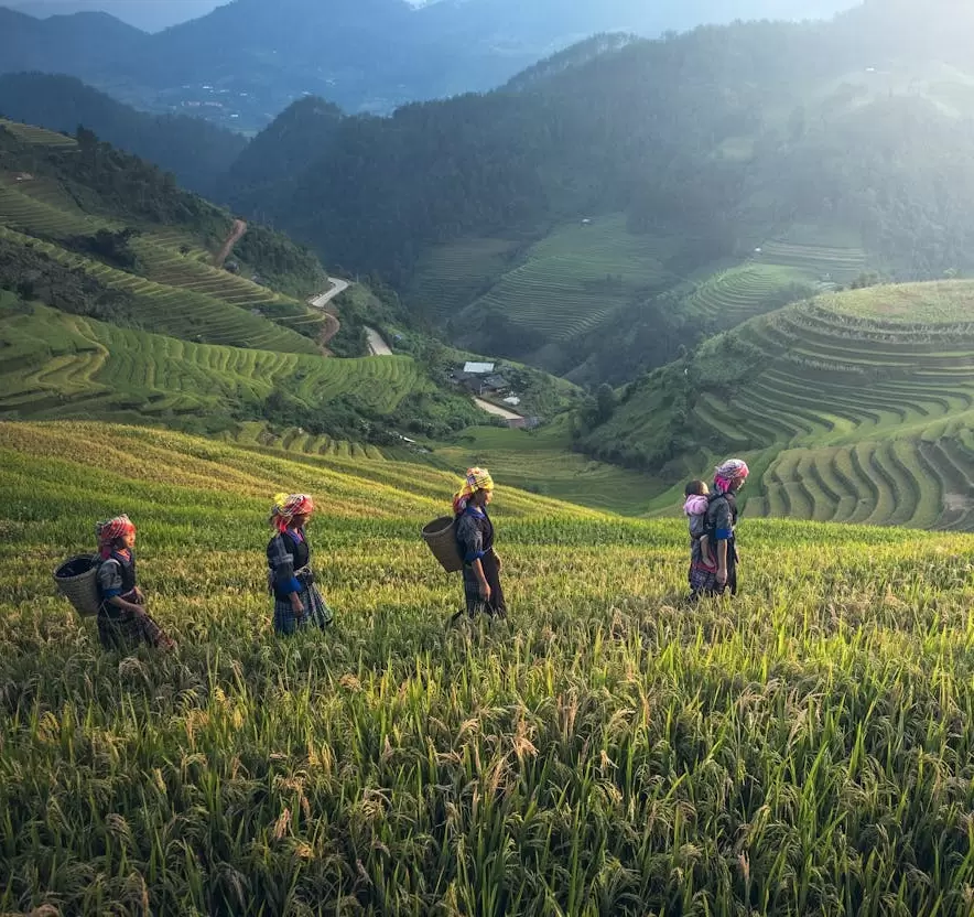 Sapa: Bergwelt, Trekking & Begegnungen mit ethnischen Minderheiten