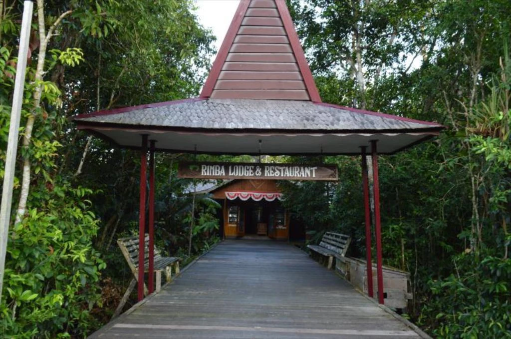 Rimba Eco Lodge