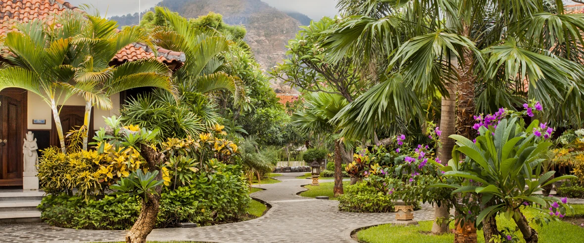 Adi Assri Beach Resort & Spa