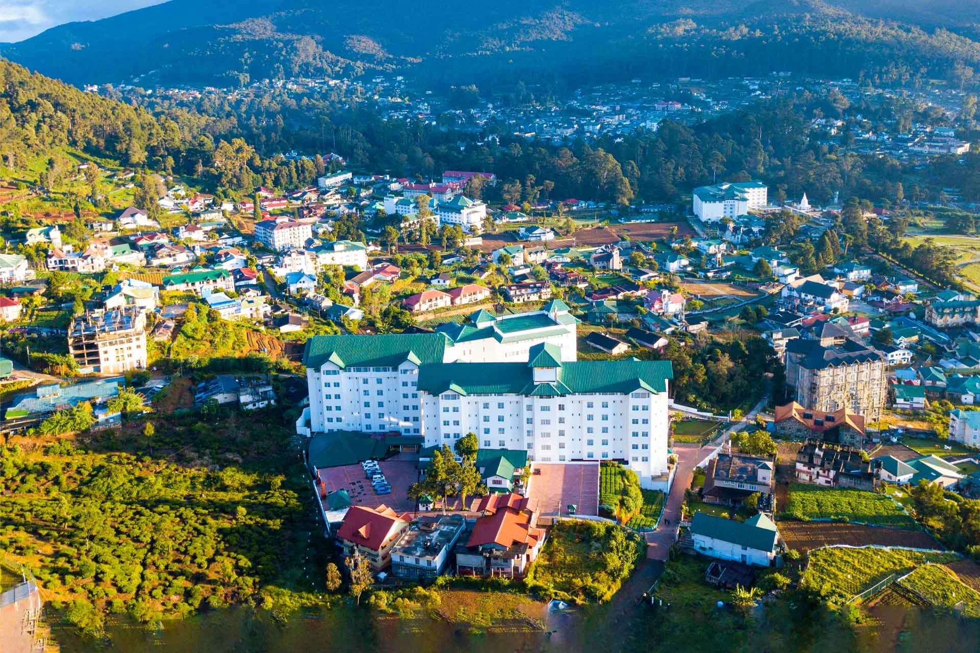 Araliya Red - Nuwara Eliya
