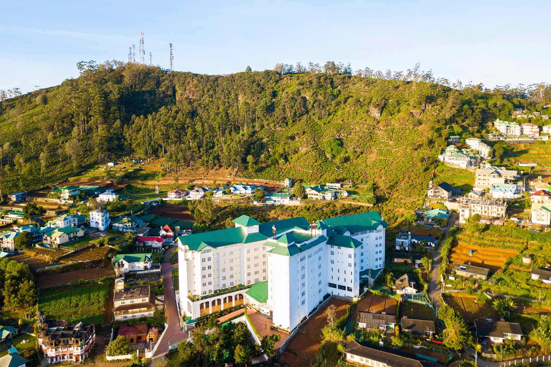 Araliya Red - Nuwara Eliya