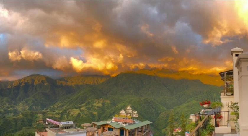 Cat Cat Galerie d'Art