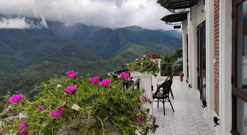 Cat Cat Galerie d'Art