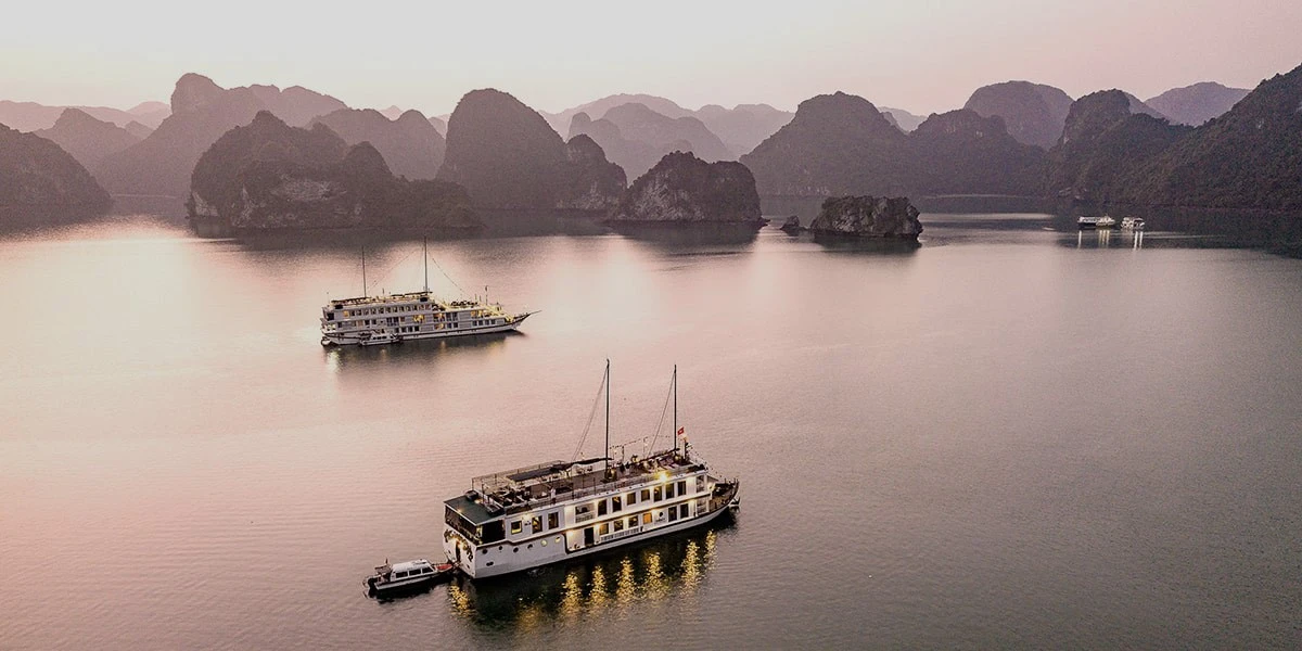 Heritage Line Violet Cruise