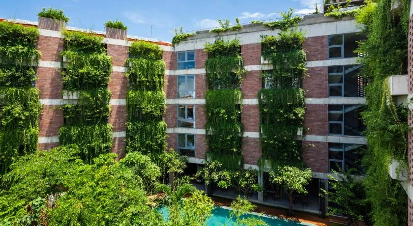 Mulberry Collection Silk Eco