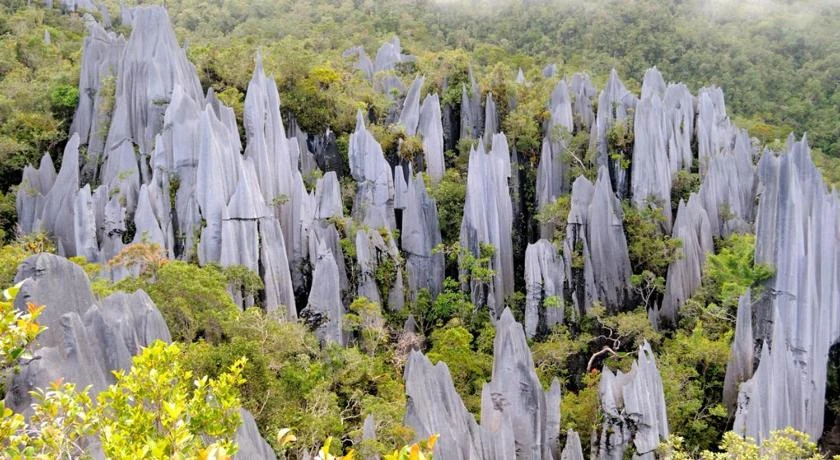 Mulu National Park Lodge