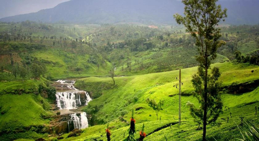 Oak-Ray Summer Hill Breeze Hotel