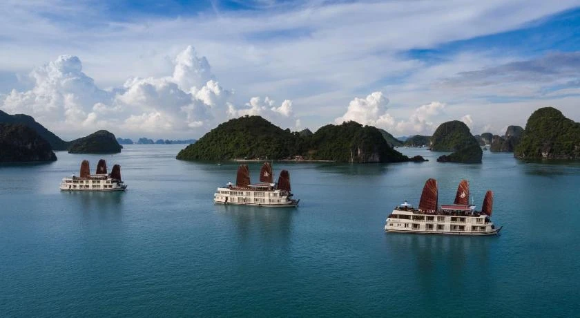 Pelican Classic Cruise