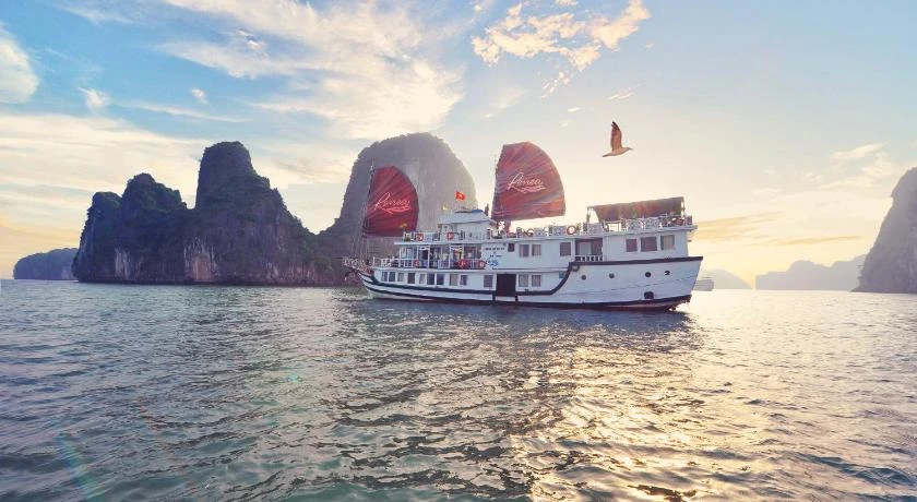 Renea Cruises Halong