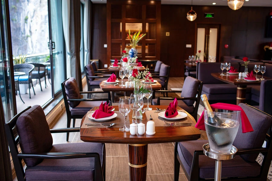 Stellar of the Seas Cruise