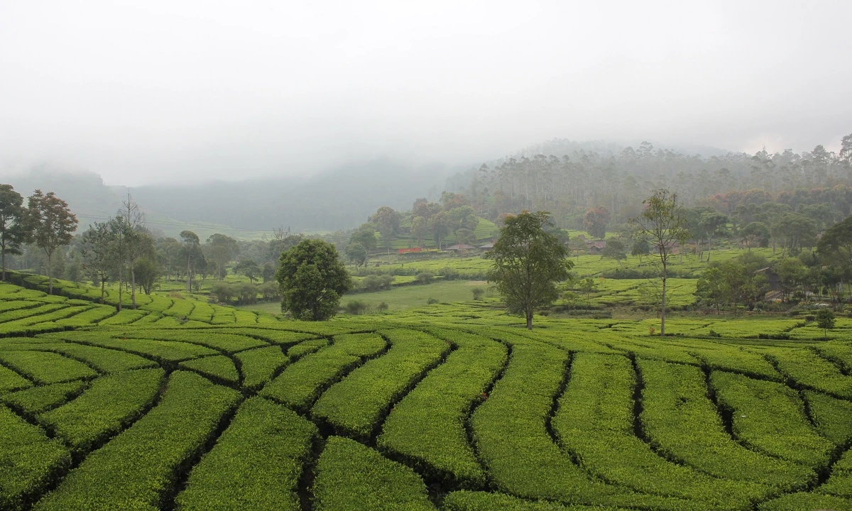 Klassische Java Rundreise und Strandurlaub in Bali