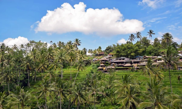 Private Kombinationsreise Bali & Singapur – Metropole trifft Inselparadies