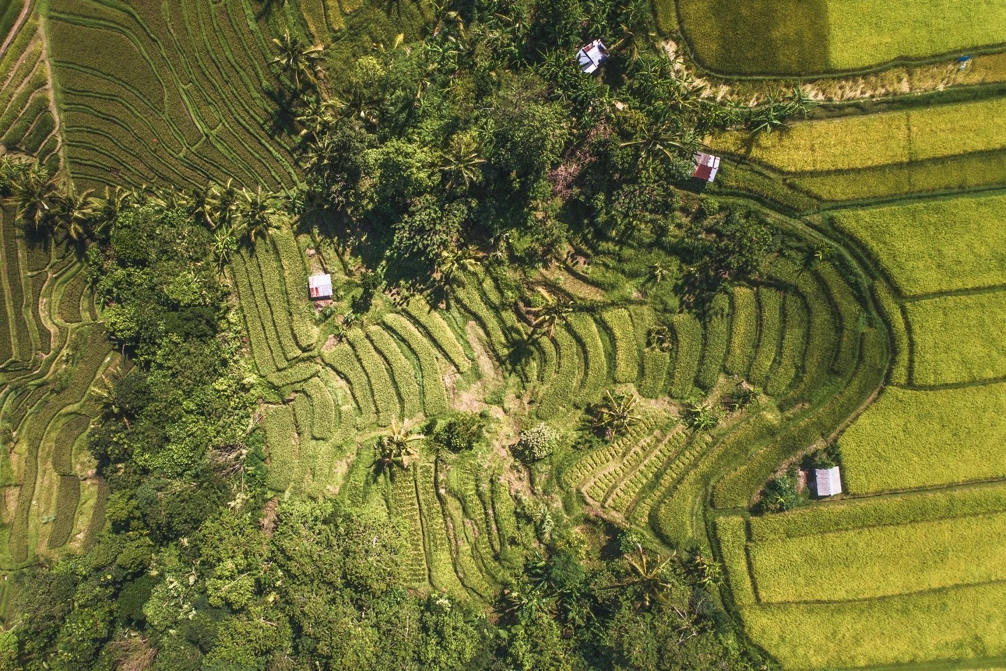 Bali Basic – Perfekte Einführung für Erstbesucher