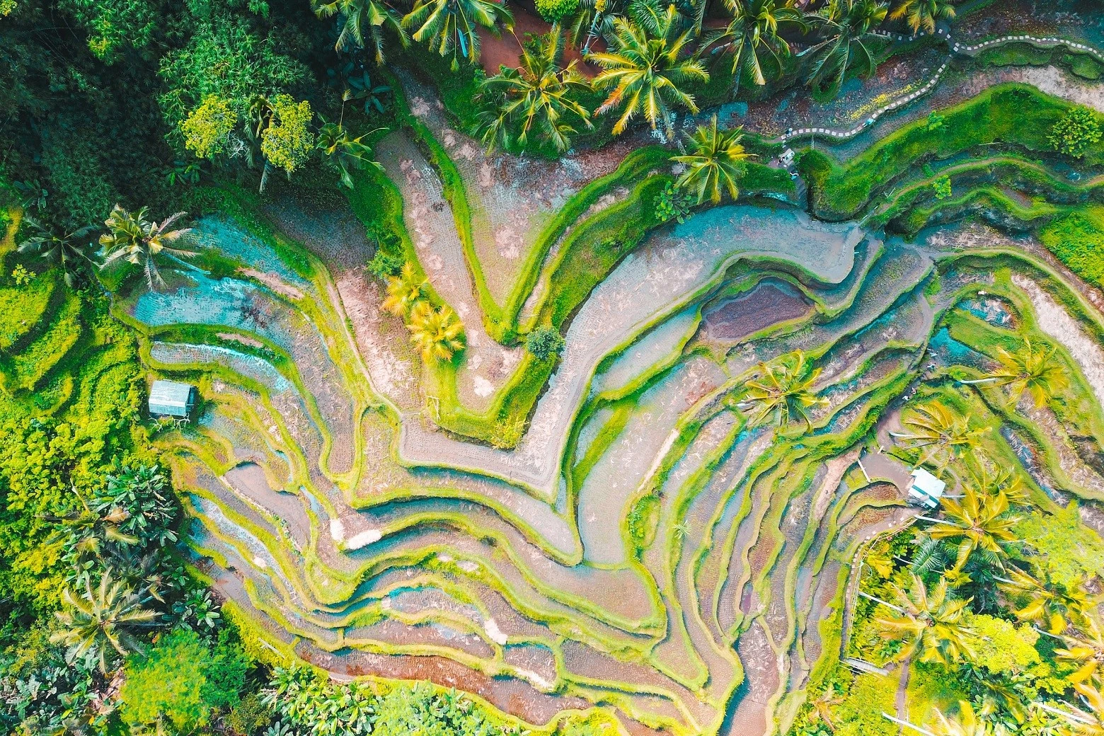 Indonesische Inselträume – Bali, Gili & Nusa Lembongan