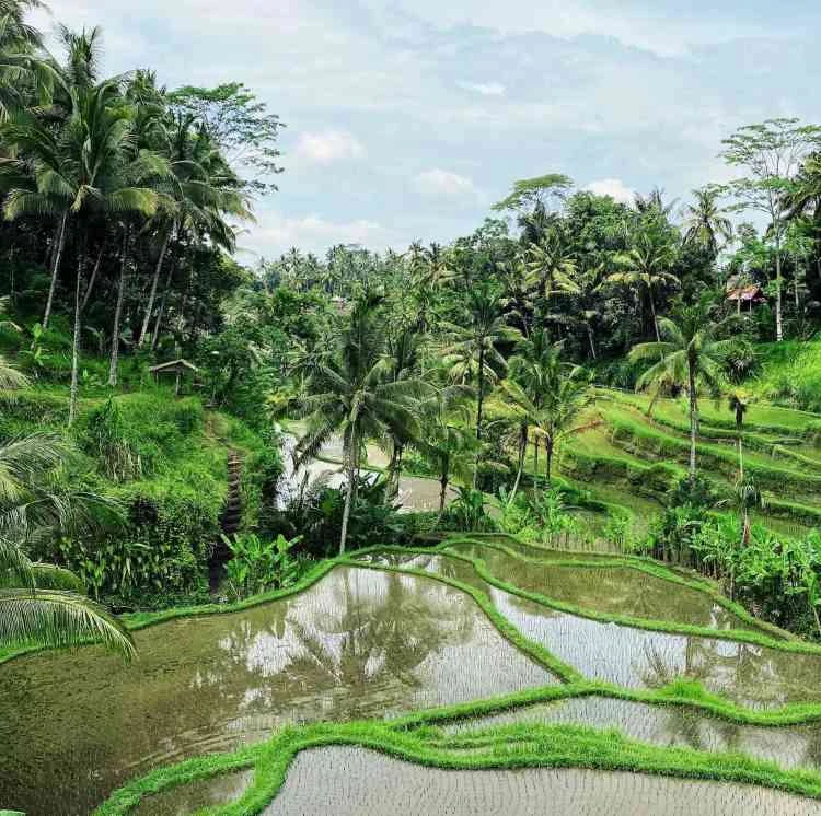 Bali Intensiv – Private Erlebnisreise zwischen Kultur, Natur & Traumstränden