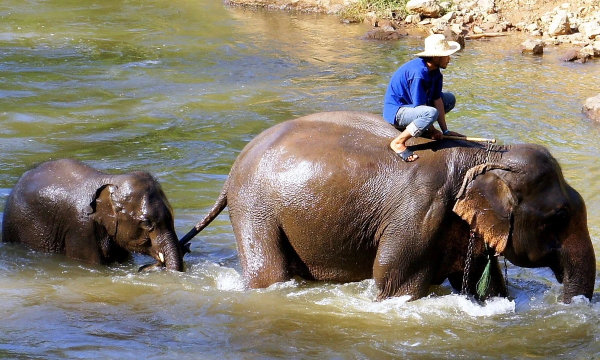 Entdeckerreise  Laos