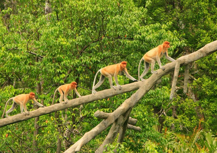 Höhepunkte Malaysias & Singapur – Kontraste, Kultur & Natur