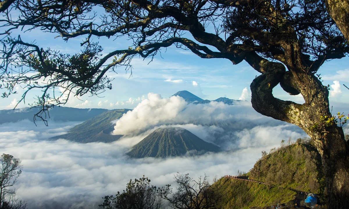 Kombinationsreise Singapur, Java und Bali