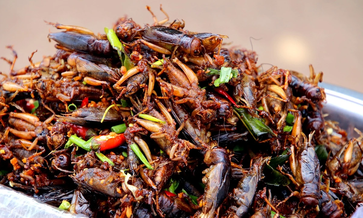 Kambodscha – Antike, Kolonialzeit & bewegte Moderne