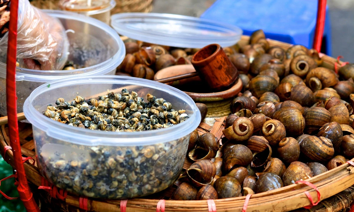 Vietnam Klassik & Inselparadies Phu Quoc – Kleingruppenreise