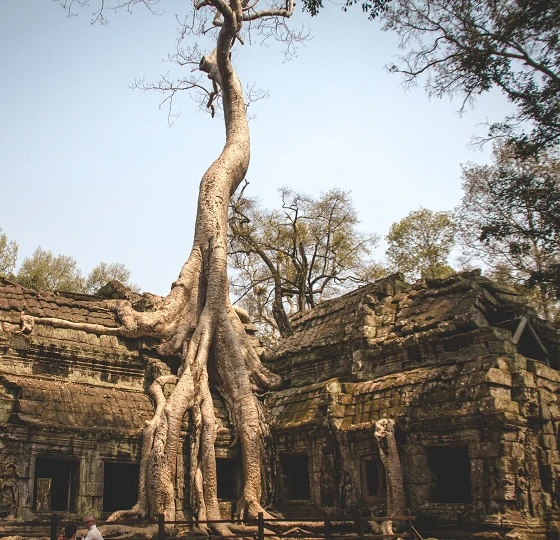 Laos und Kambodscha mit Badeurlaub auf Koh Rong 16 Tage