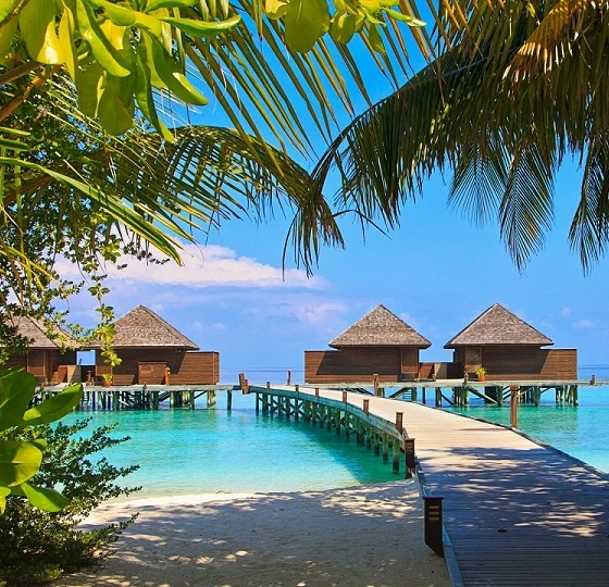 Sri Lanka Klassisch & Malediven – Kultur, Natur & Strandparadies