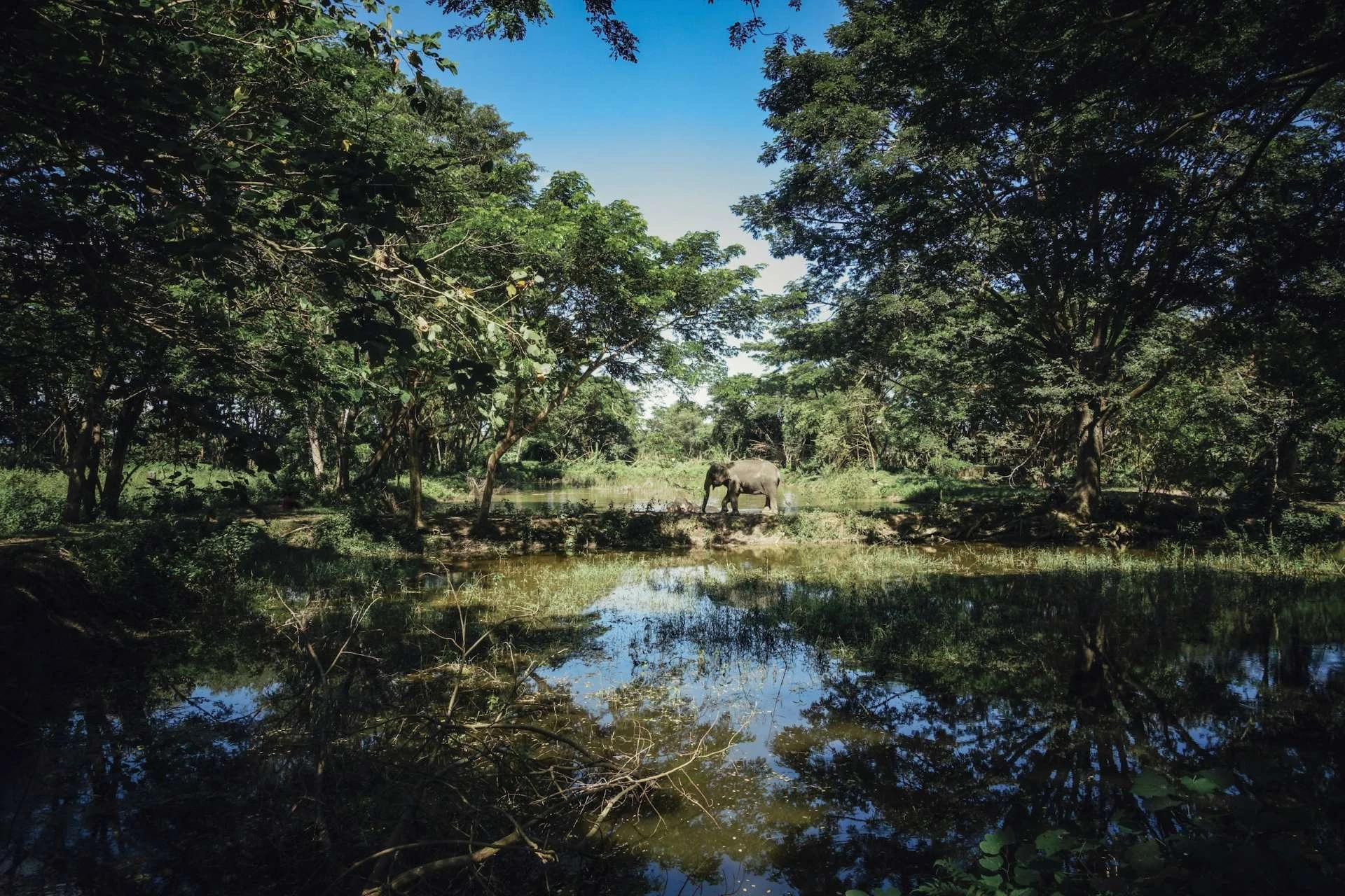 Thailand Intensiv – 3 Wochen Rundreise Kultur & Natur